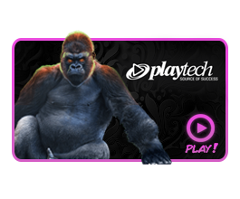 Slot PlayTech Slot
